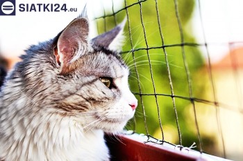 Siatki Rawa Mazowiecka - Siatka na balkony dla kota i zabezpieczenie dzieci dla terenów Rawy Mazowieckiej